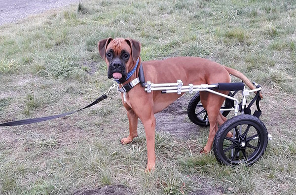 med_Yuna - gleich geht's los.jpg (600 x 395)